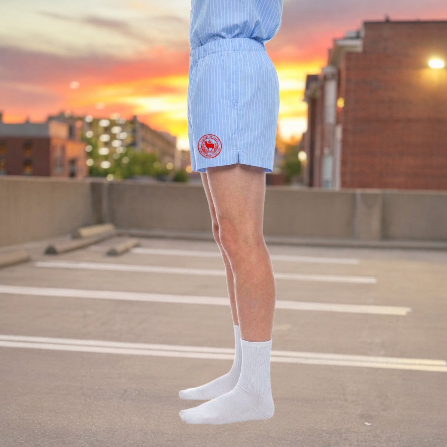 “Lamb” Shorts